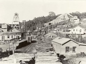 wattle_gully_mine_late_fifties.jpg